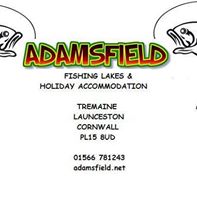 Adamsfield Fishery